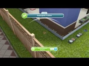 Игры про собак. Sims freeplay: дрессировка фрисби для собак, как играть во фрисби с собакой